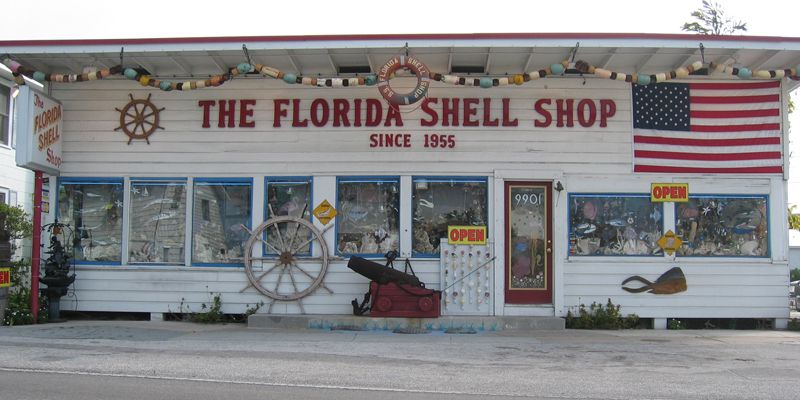 Florida Shell Shop