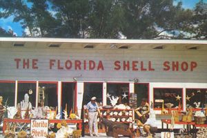 Florida Shell Shop Gallery